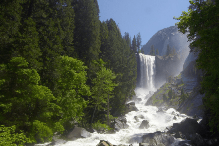 世界毒药只需一勺就能夺人性命（氰化物）(氰化类毒物)